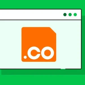 Domain .Co